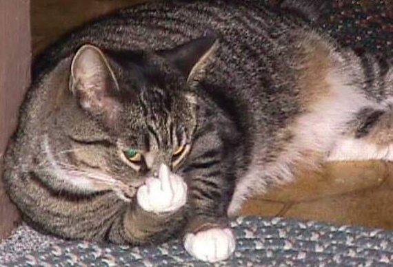 106.jpg