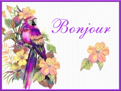 bonjour1.gif