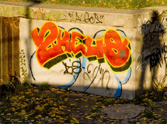 auto2.jpg