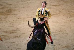 torero-copie-1.jpg