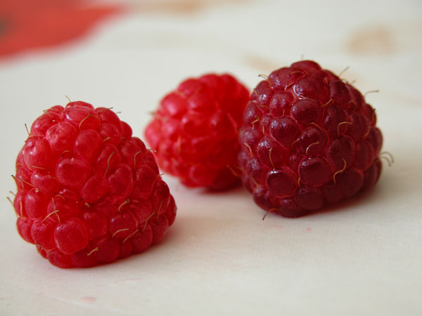 3_framboises.jpg