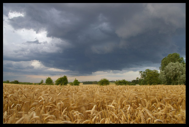 picardie5.jpg