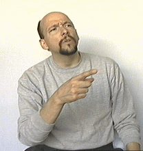 say-what-did-he-say.gif