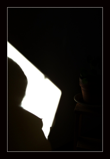 Xray2.jpg