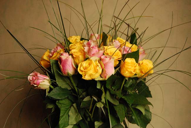 DSC_5356_40roses.jpg