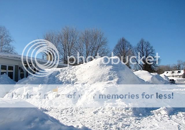 Neige2007.jpg