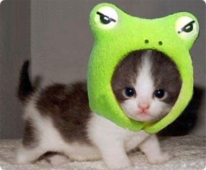 minou.jpg