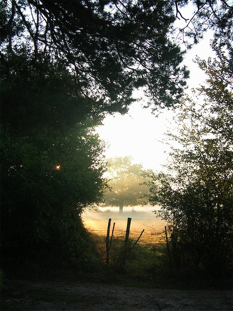 couilloure%20le%20matin%2001.jpg