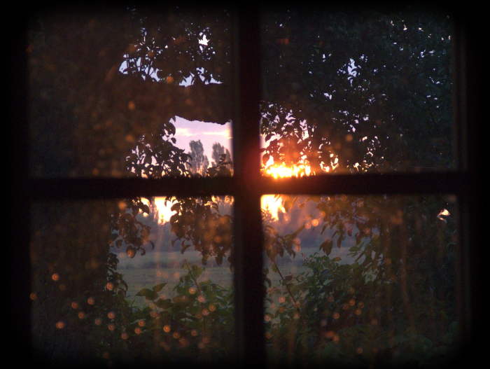 DSCF1206.jpg