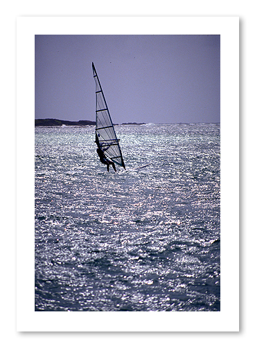 windsurf.jpg