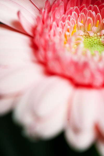 3452054343_fd9b3a2010_o.jpg