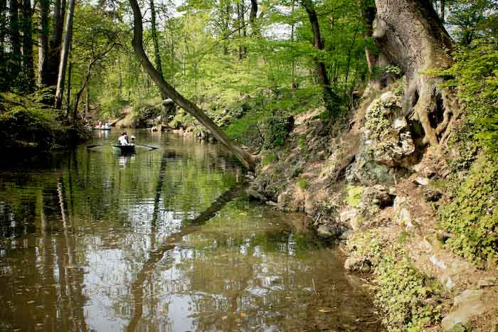nature2.jpg