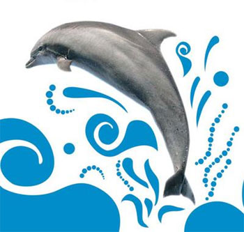 flipper_dauphin.jpg