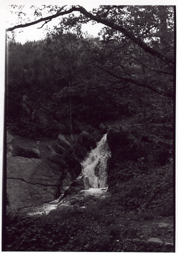 broceliande72.jpg