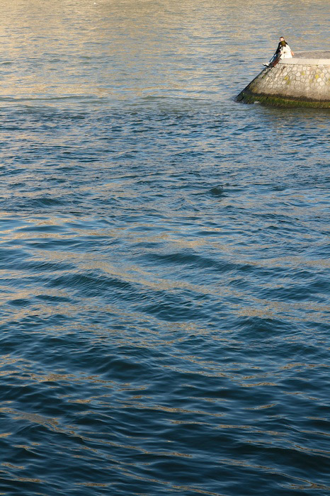 coupleseine.jpg