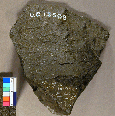 uc15508_2.gif