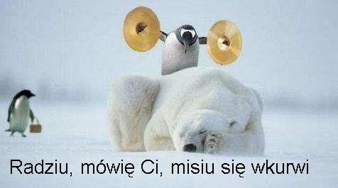 misiu.jpg