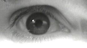 oeil.jpg