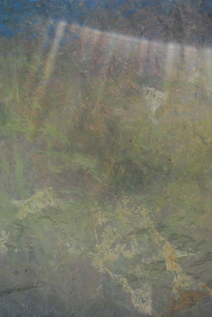 DSC_4913_plastique1.JPG