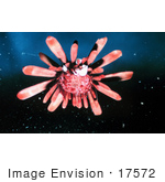 17572-picture-of-a-slate-pencil-sea-urchin-by-jvpd.jpg