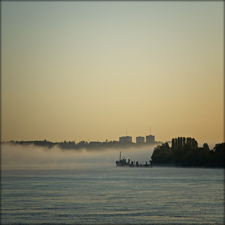 DSC_9050.jpg