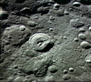 crata16b.jpg