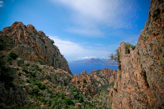 piana2.jpg