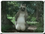 SlapNutz.gif