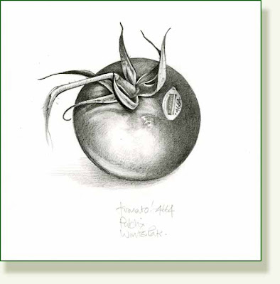 tomato+4664.jpg