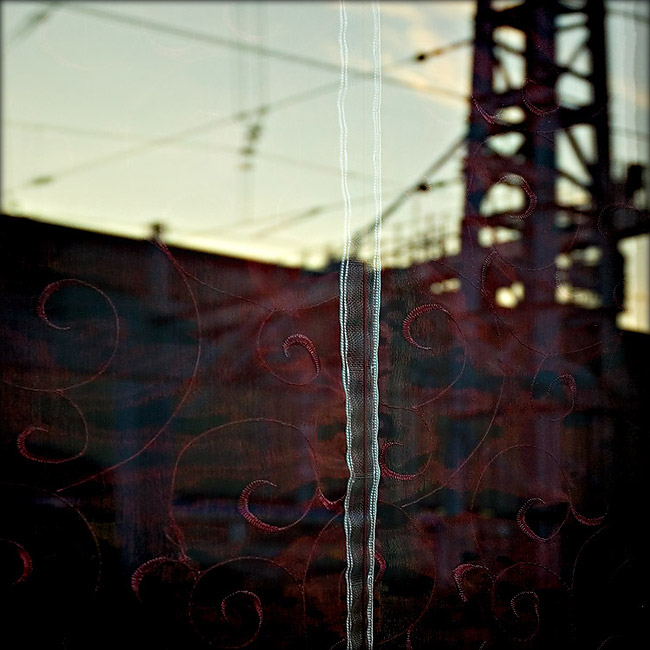 DSC_2698.jpg