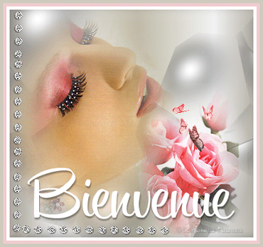 bienvenue1.gif
