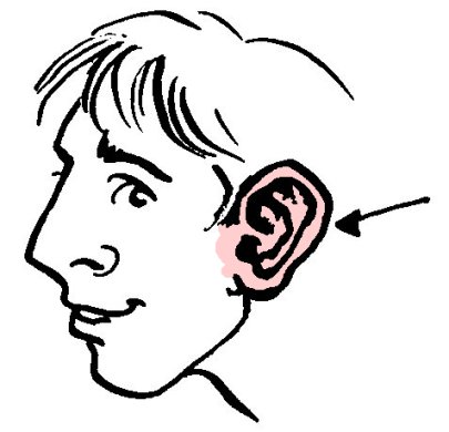oreille.jpg
