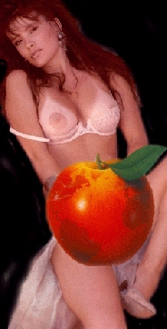 pomme.jpg
