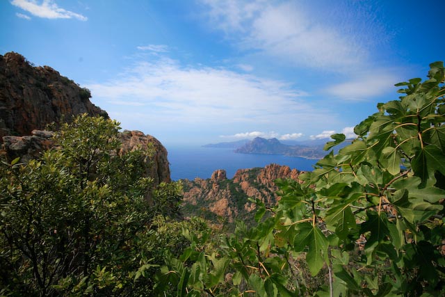 piana4.jpg