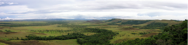 panorama.jpg