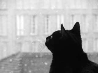 DSCF2315.jpg
