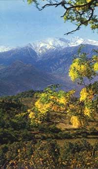 canigou.jpg