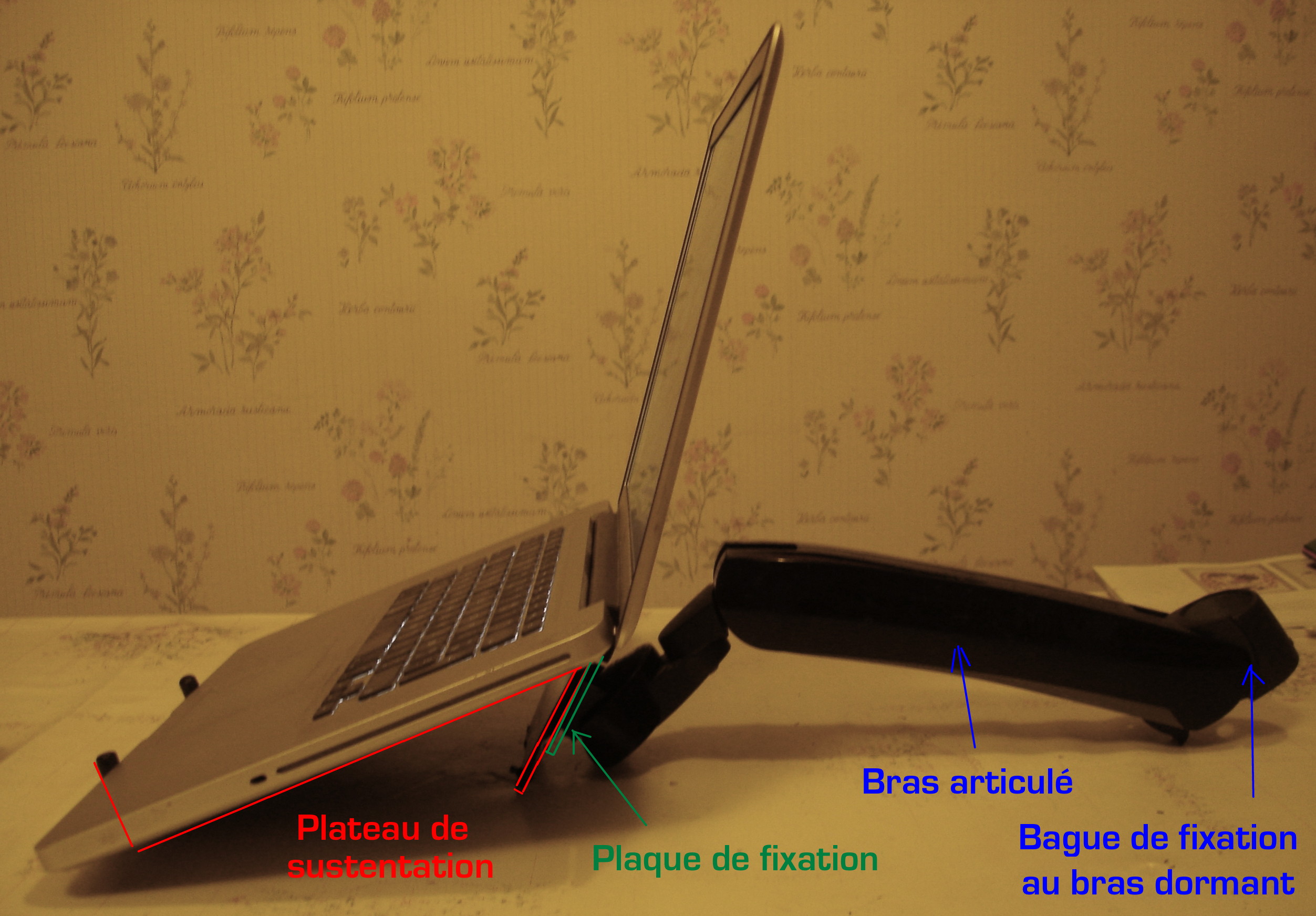231938_original.jpg