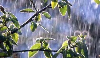 PLUIE.JPG