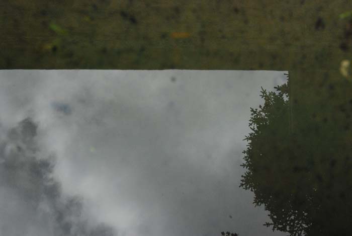 DSC_4928_bassin.jpg