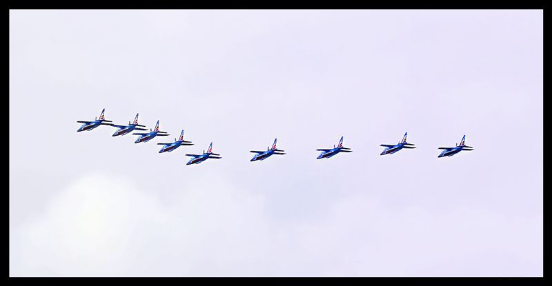 oiseau10.jpg