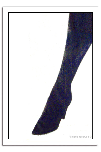 4120.jpg