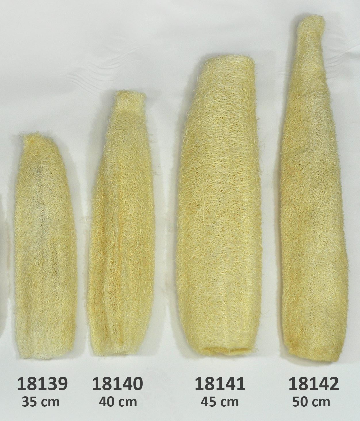 18139_bis_18142.jpg