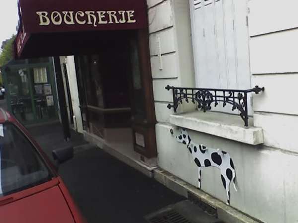 09-08-06_1619.jpg