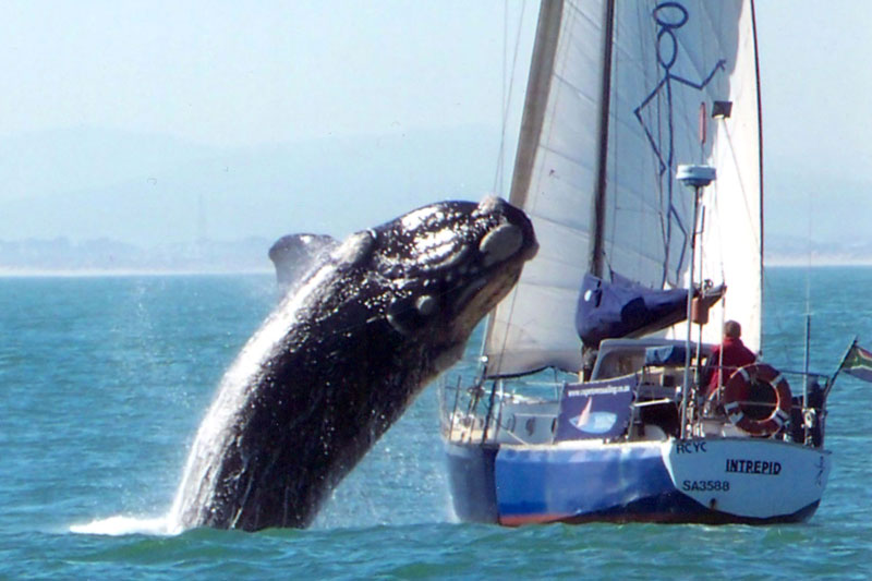 20100722PHOWWW00048.jpg