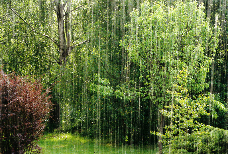 pluie.jpg