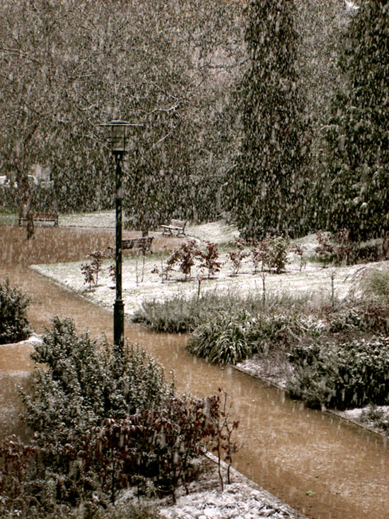 neige_1.jpg