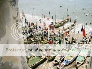 IMGP0648.jpg