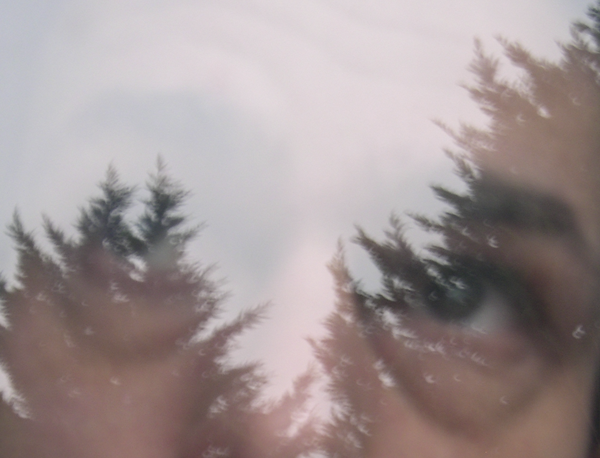 DSCN1421.png