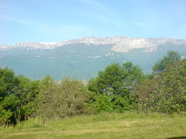 DSC00482.JPG